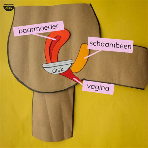 waar zit de g spot van een vrouw|De vagina: alles over het vrouwelijke geslachtsorgaan。